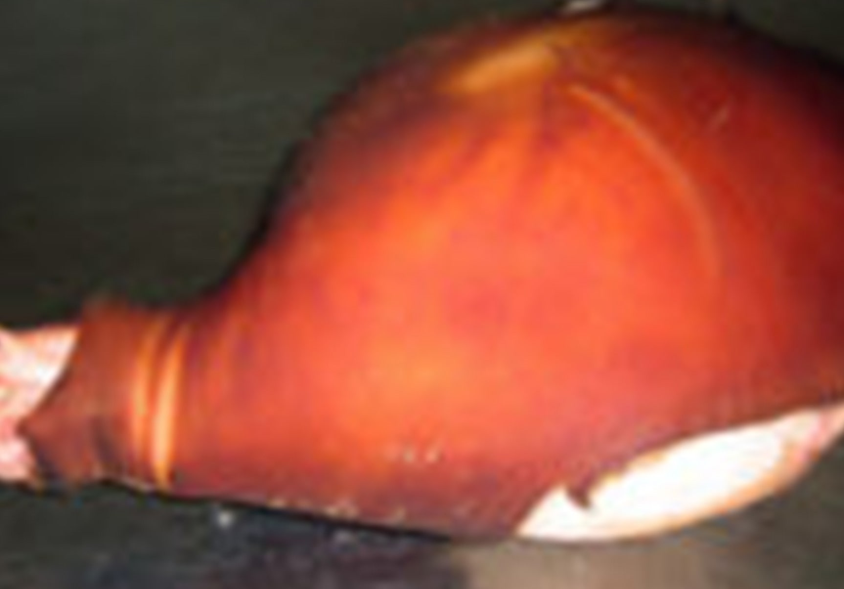 Ham